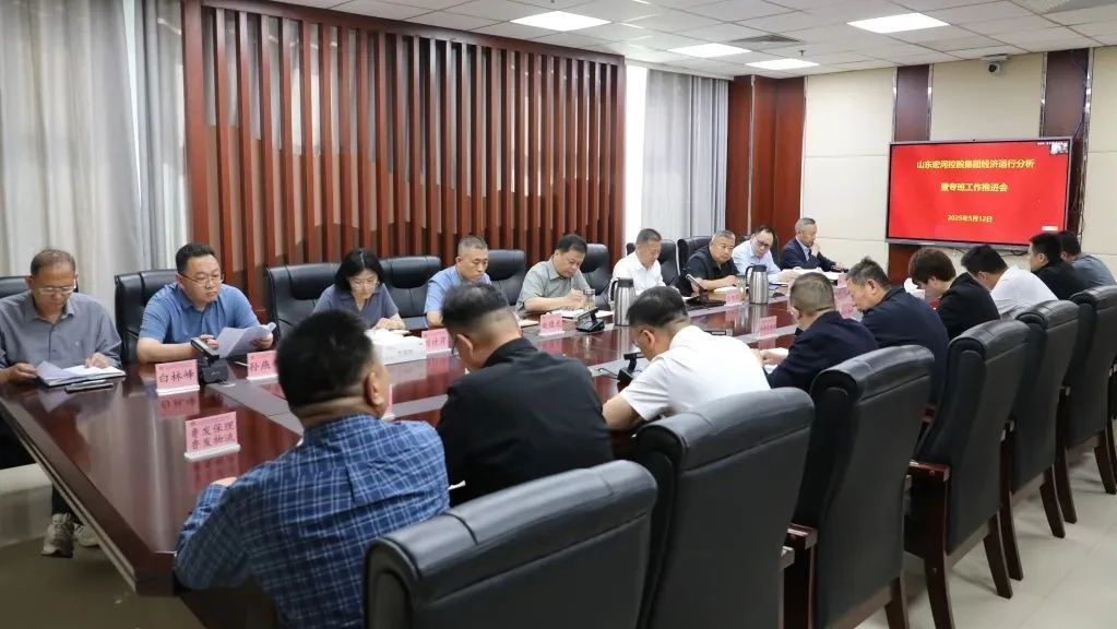 錨定目標(biāo)再發(fā)力 攻堅(jiān)克難促落實(shí)——宏河集團(tuán)召開(kāi)經(jīng)營(yíng)運(yùn)行分析暨專(zhuān)班工作推進(jìn)會(huì)議